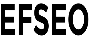 Efseo Logo B300